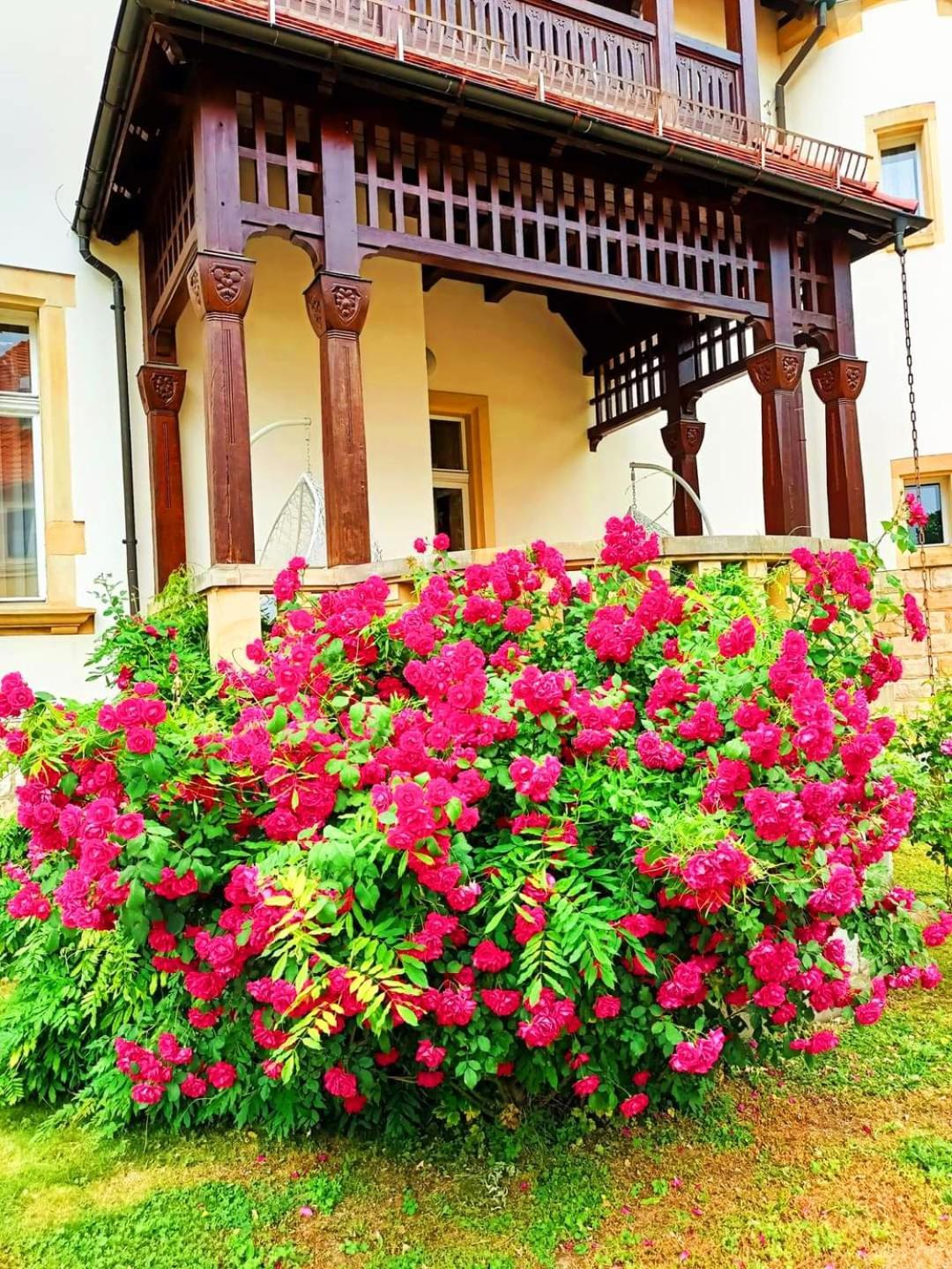 Hotel Palacyk Легница Экстерьер фото